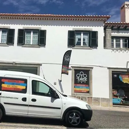 Housing | Tree The Company Пениши