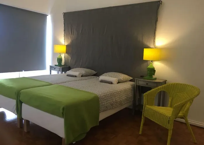 Housing | Tree The Company Apartament